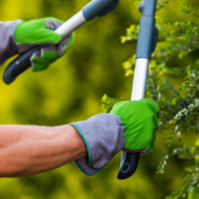 jardineros en chihuahua